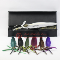 Bút lông ngỗng calligraphy set 1
